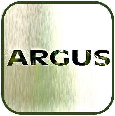 ARGUS Steuerberatungsgesellschaft mbH