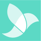 MEDWING Now GmbH