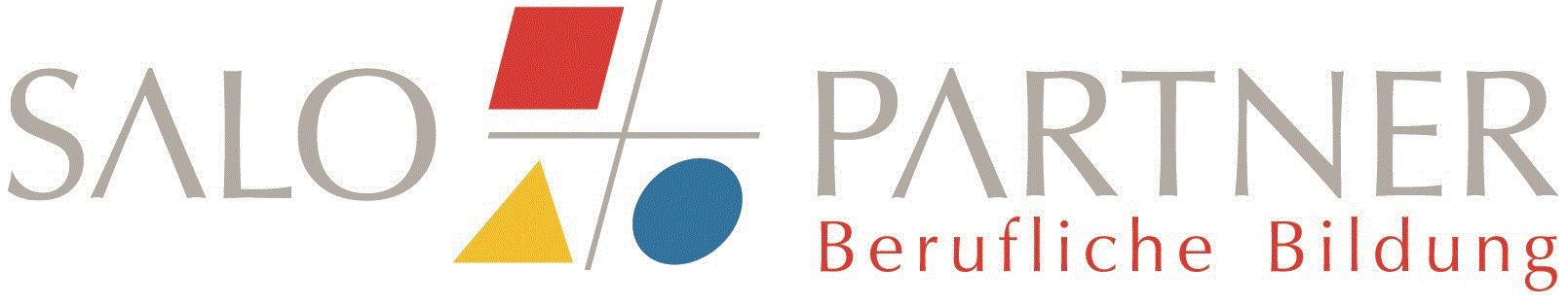 Salo & Partner Berufliche Bildung GmbH