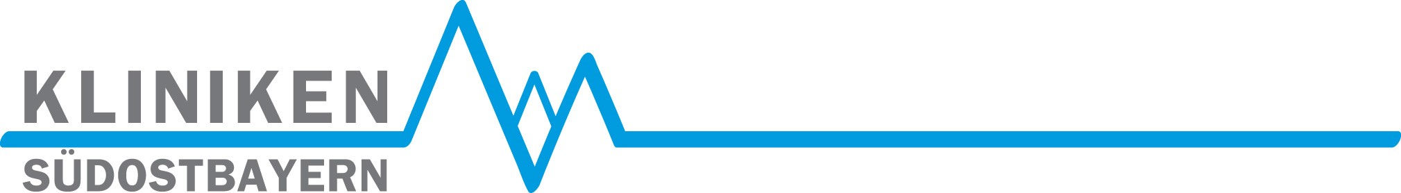 Dorfner menü Catering- Service + Organis