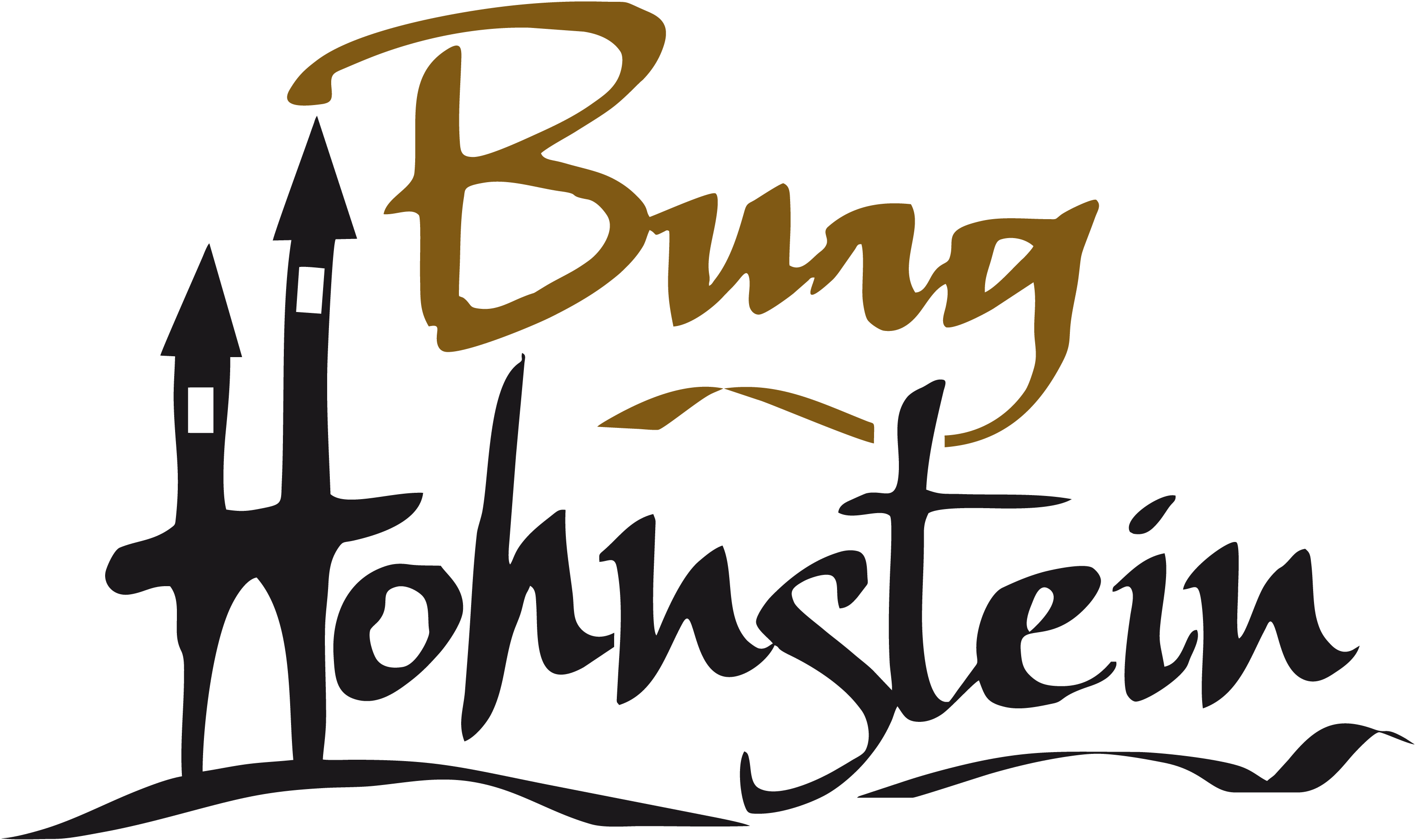 Tourismusförderungsgesellschaf t