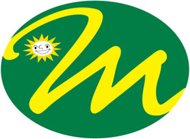 MERSINO GmbH