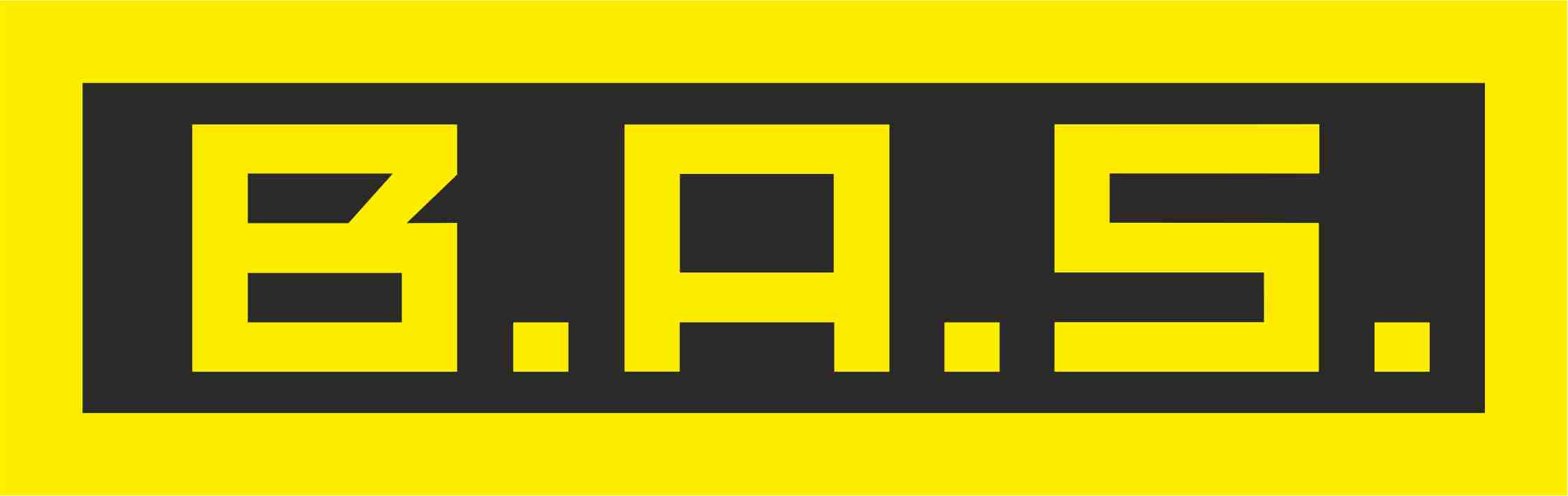 B.A.S. Verkehrstechnik AG
