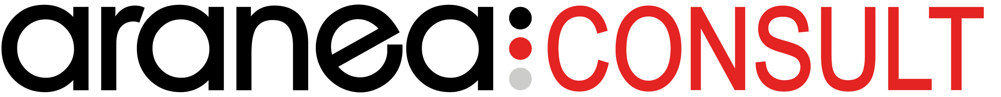 araneaCONSULT GmbH
