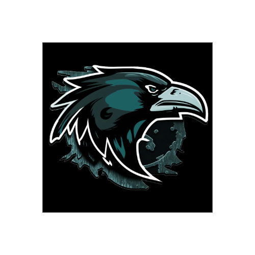Raven Security Service Robert Scannewin