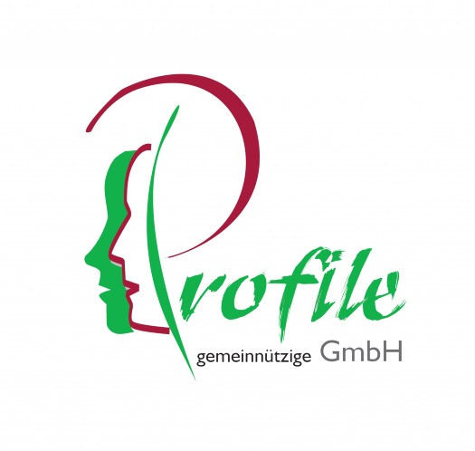 Nord Profil Deutschland GmbH & Co. KG