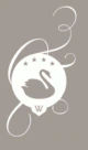 Henry Schein Dental Deutschland GmbH