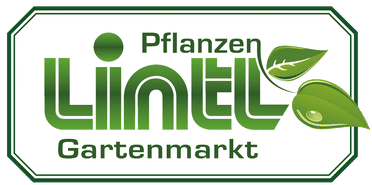 Lintl Landschaftsbau GmbH