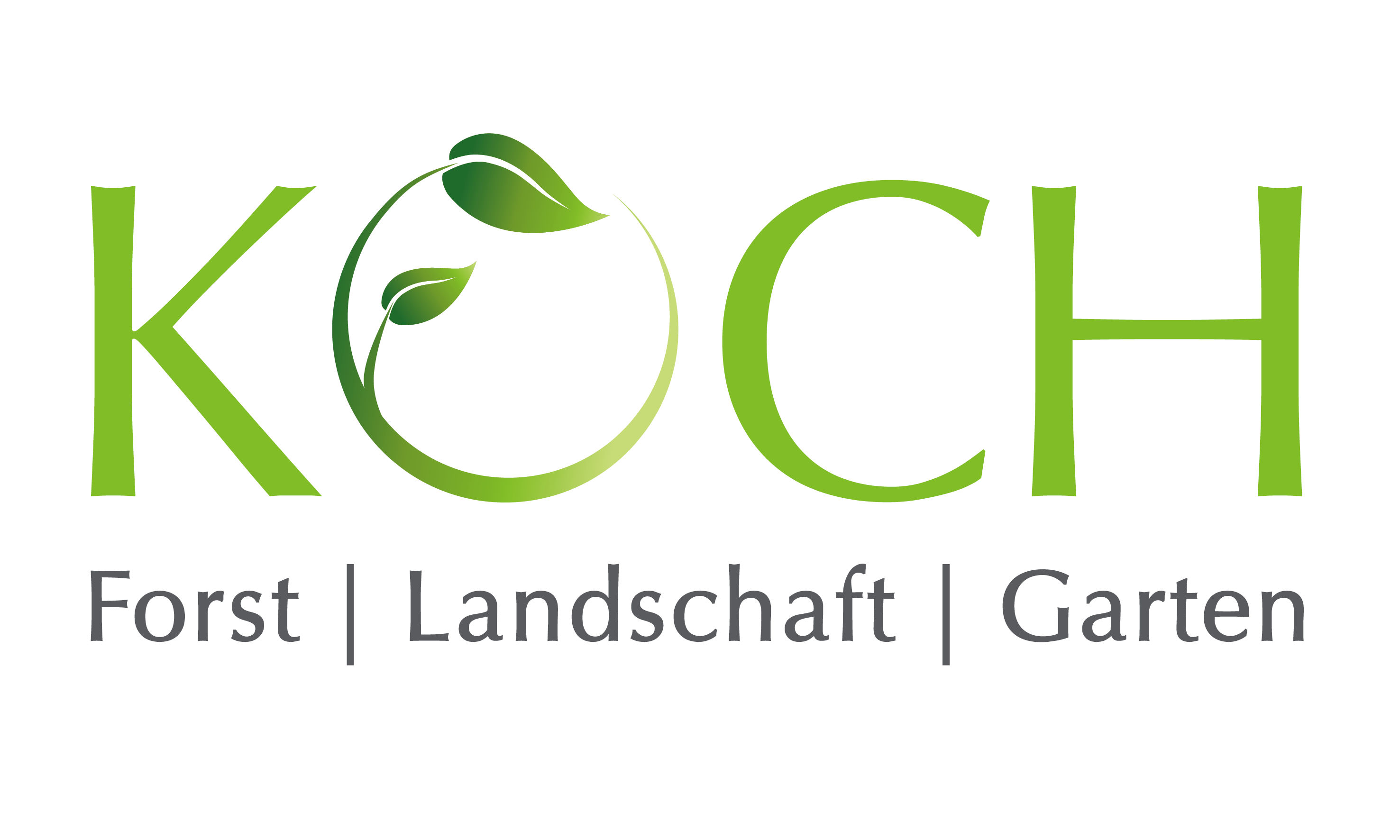 Martin Koch