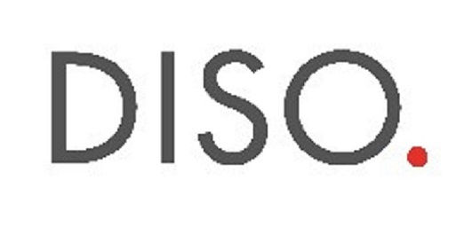 DISO gemeinnützige Dienstleitungs- gesel