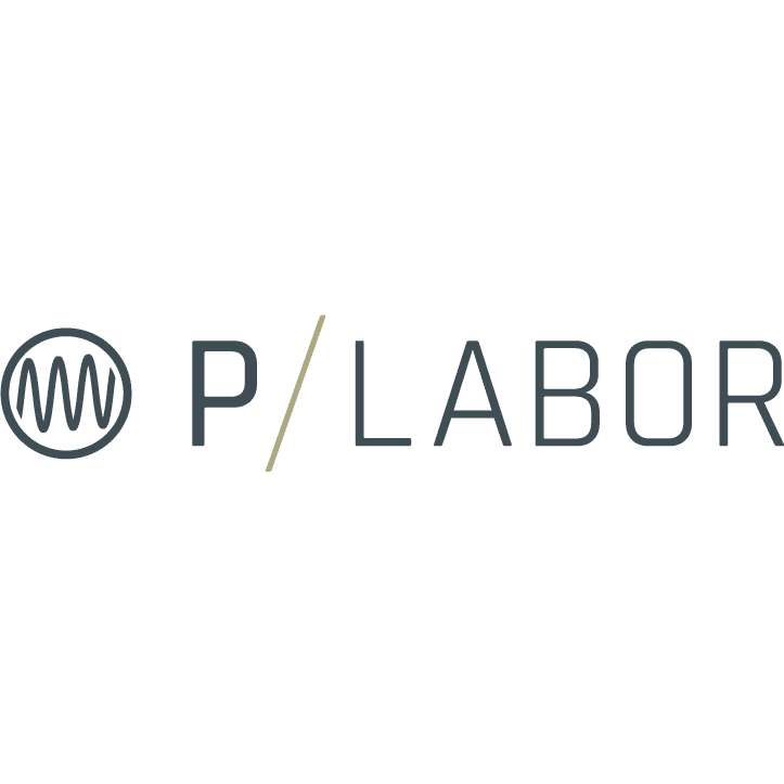 P-Labor Elektronik GmbH