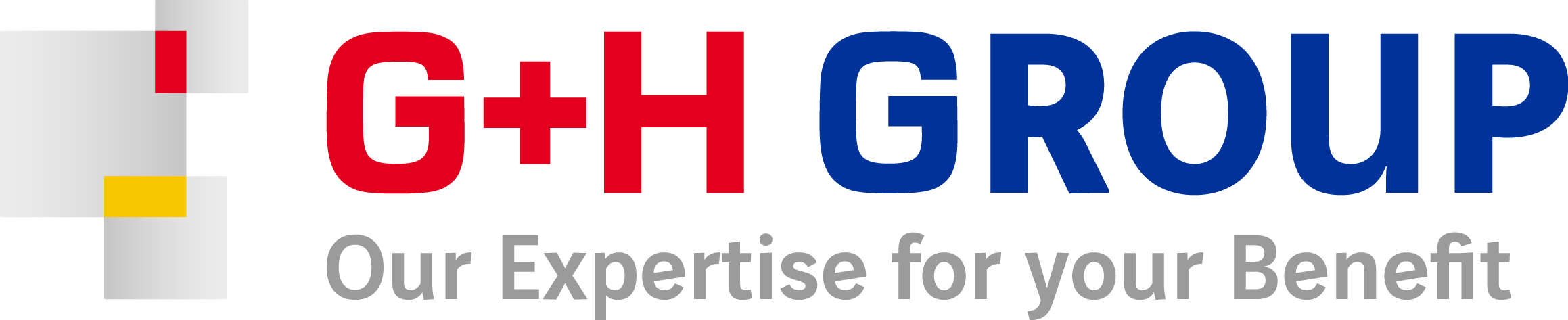 81 G+H ISOLIERUNG GmbH Abt. P