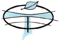 Comenius Kolleg Institut zur Erlangung d