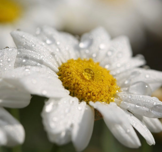 Praxis für Ergotherapie