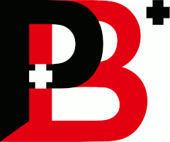 b+p GmbH