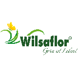 Wilsaflor GmbH & Co. KG