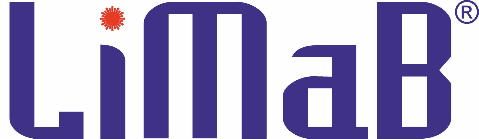 LiMaB - Laserintegrierte Materialbearbei