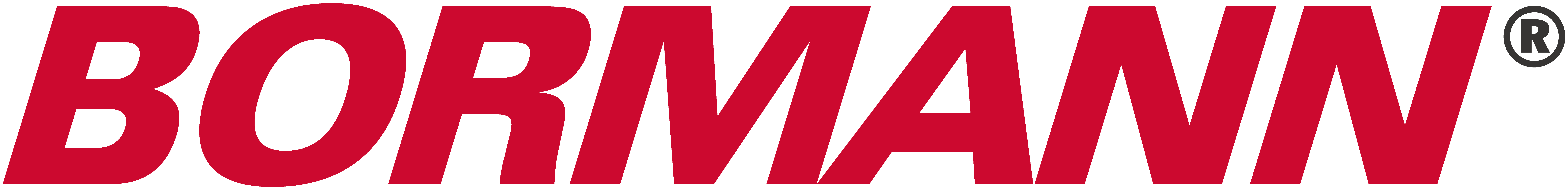 BORMANN EDV + Zubehör GmbH