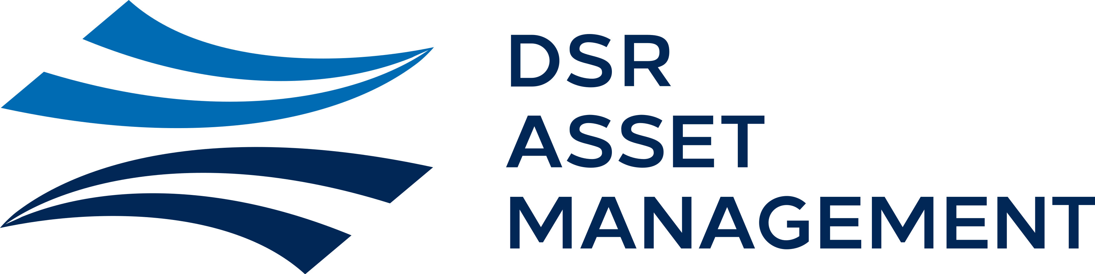 DSR Asset Management GmbH