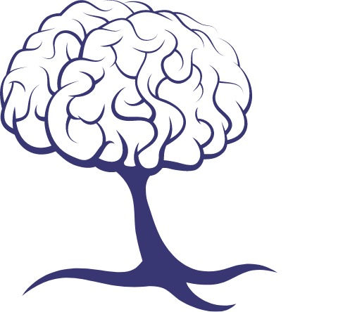 Corpus Callosum GmbH