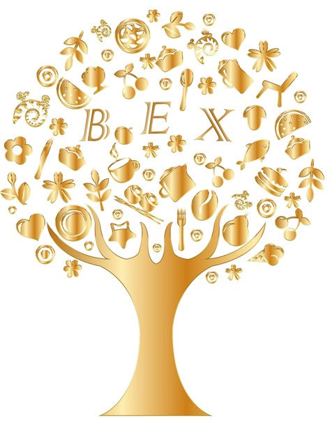 BEX-Betreuungsexperten Nr.1Widerhold&Dya