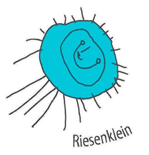 Riesenklein gemeinnützige GmbH
