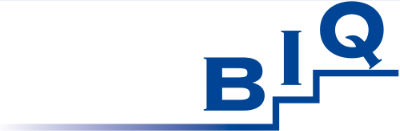 BIQ gGmbH
