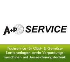 A + P Service Peter Schiffmann e.K.