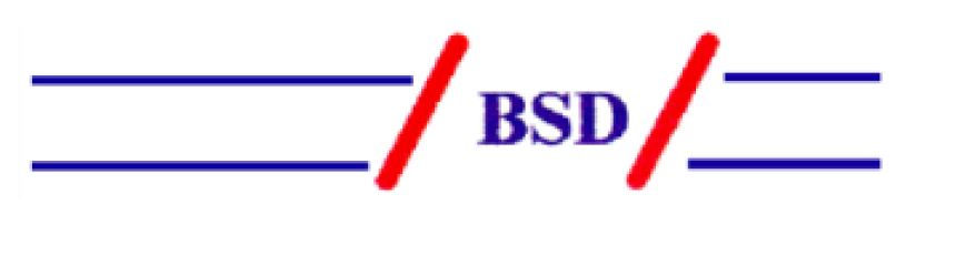 BSD Büro für Sicherheit und Dienstleistu