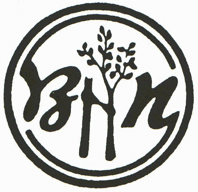 Behindertenhilfe Norden gGmbH