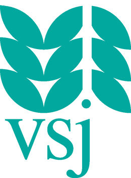 Verein für Sozialpädagogische Jugendbetr