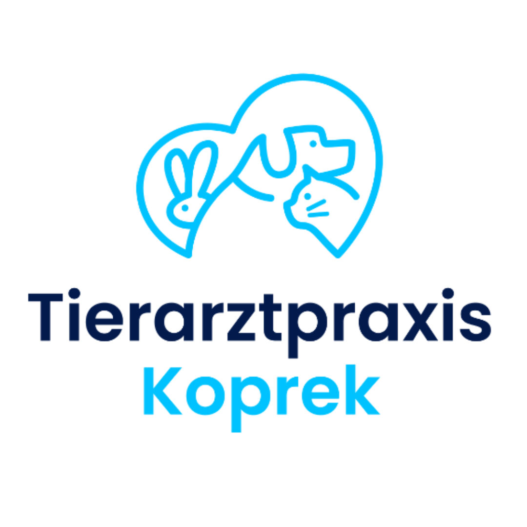 Korinna Koprek Tierärztin