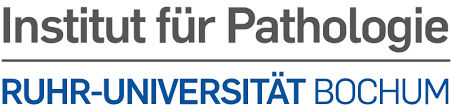 Georgius Agricola Stiftung Ruhr
