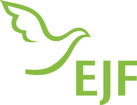 EJF gemeinnützige AG