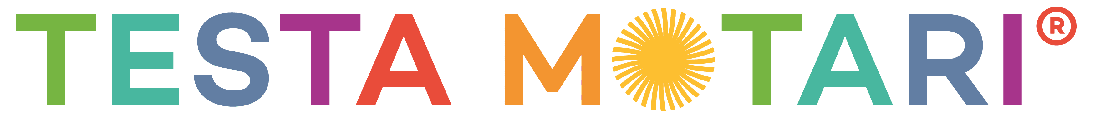 Testa Motari GmbH