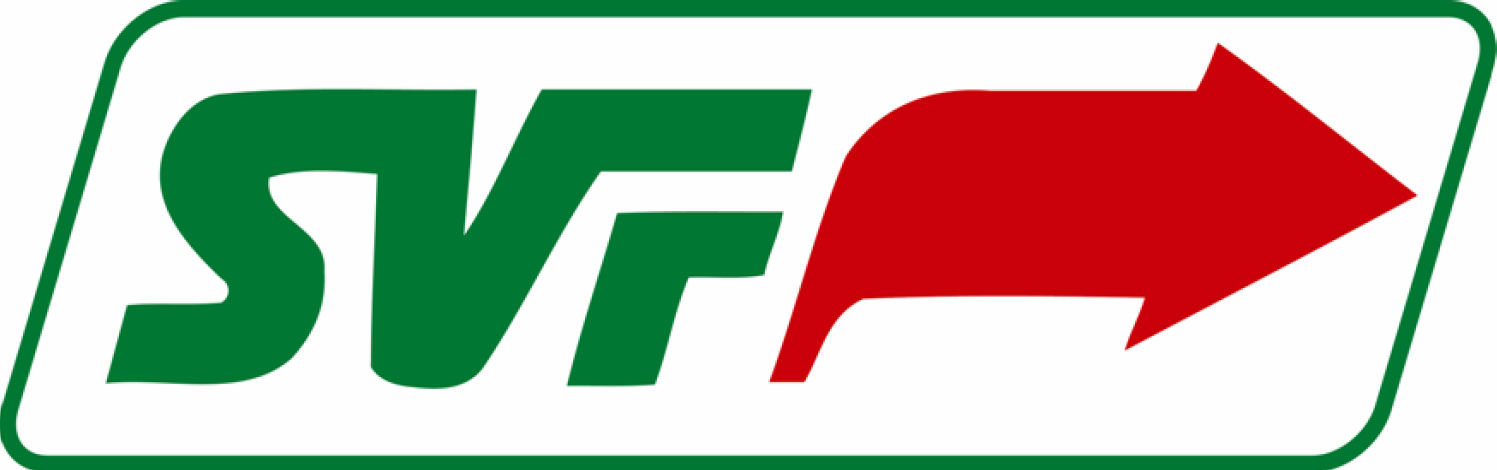 Stadtverkehrsgesellschaft mbH Frankfurt 