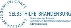 Landesarbeitsgemeinschaft Selbsthilfe vo