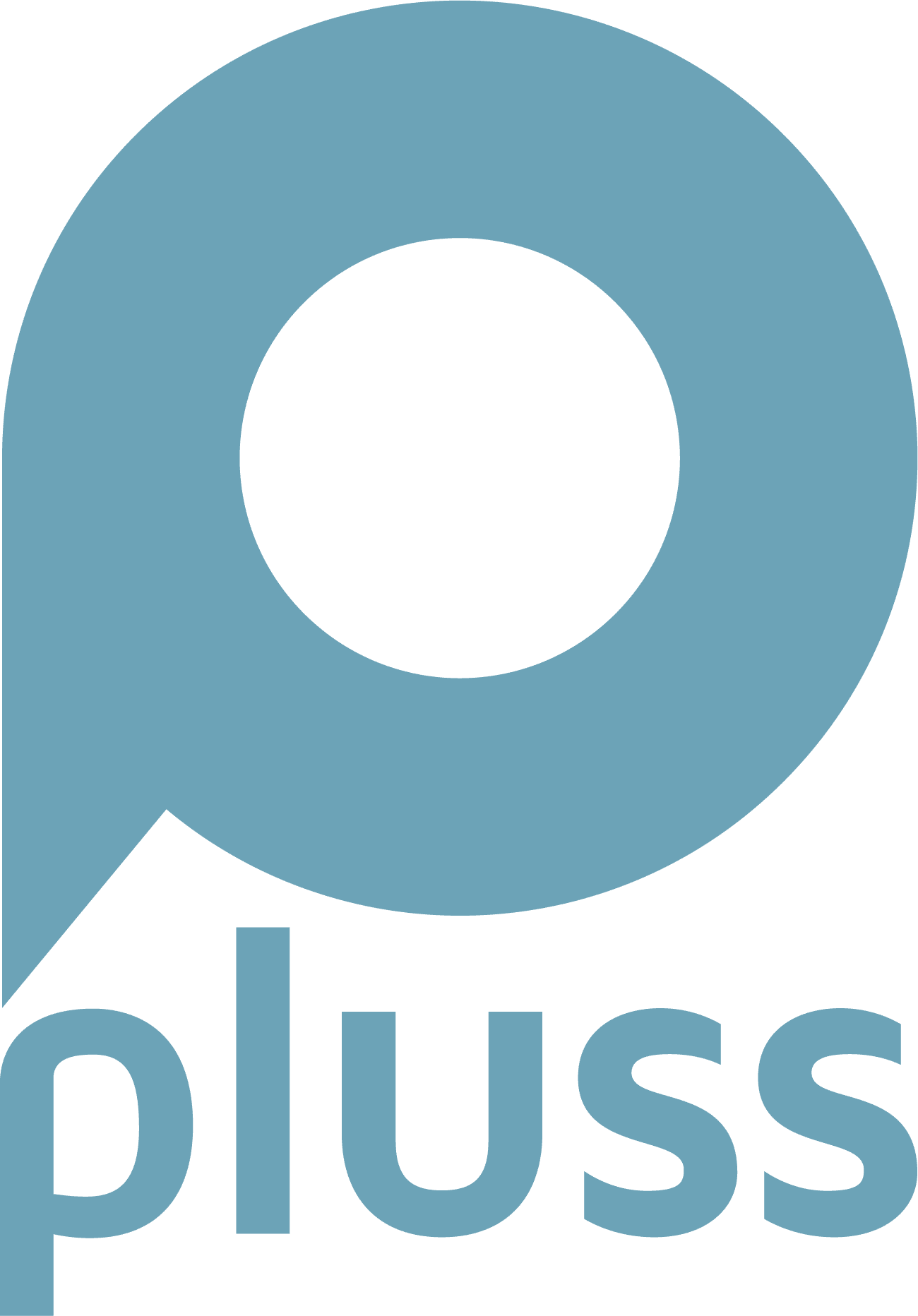 pluss Personalmanagement GmbH, Niederlas