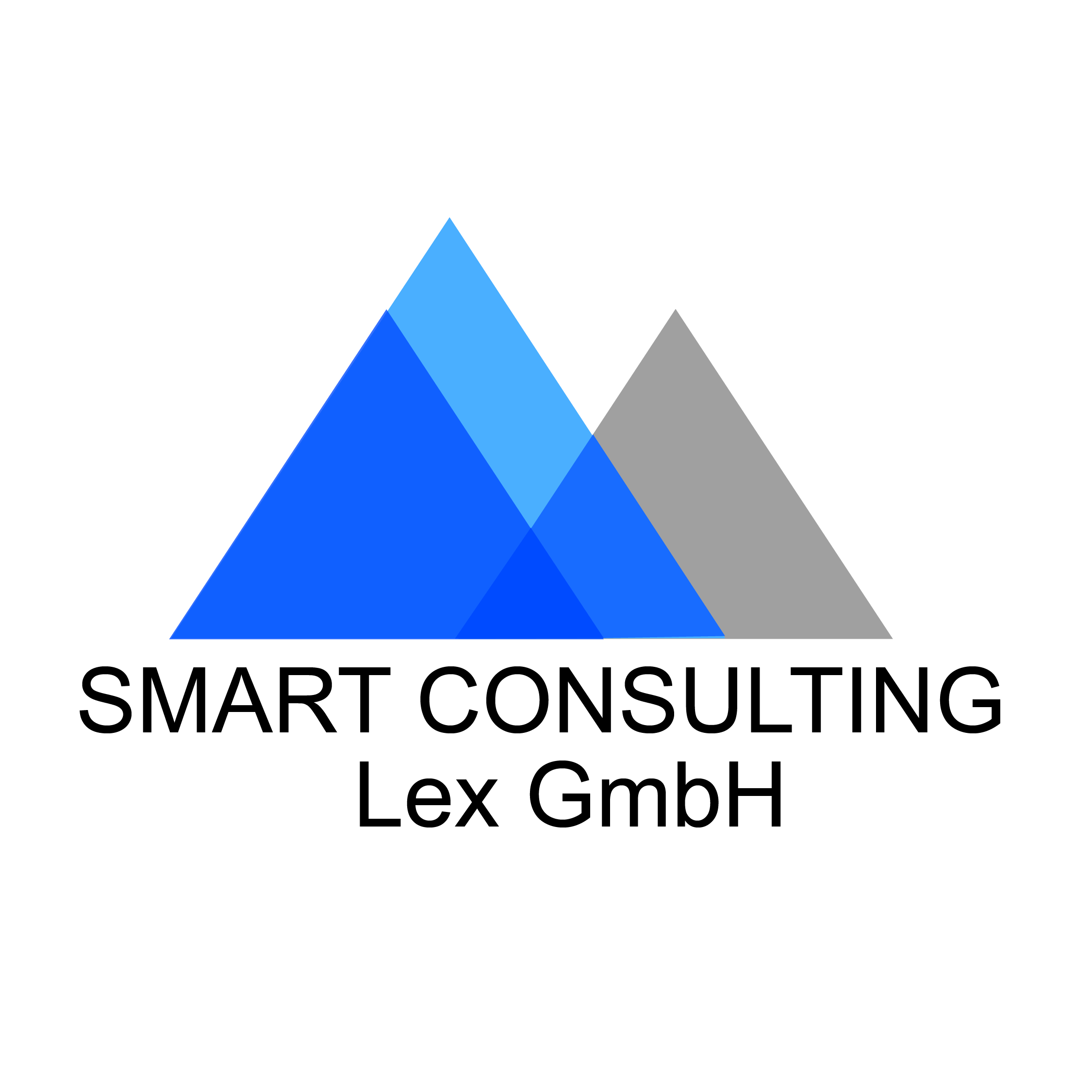 Smart Consulting Lex GmbH