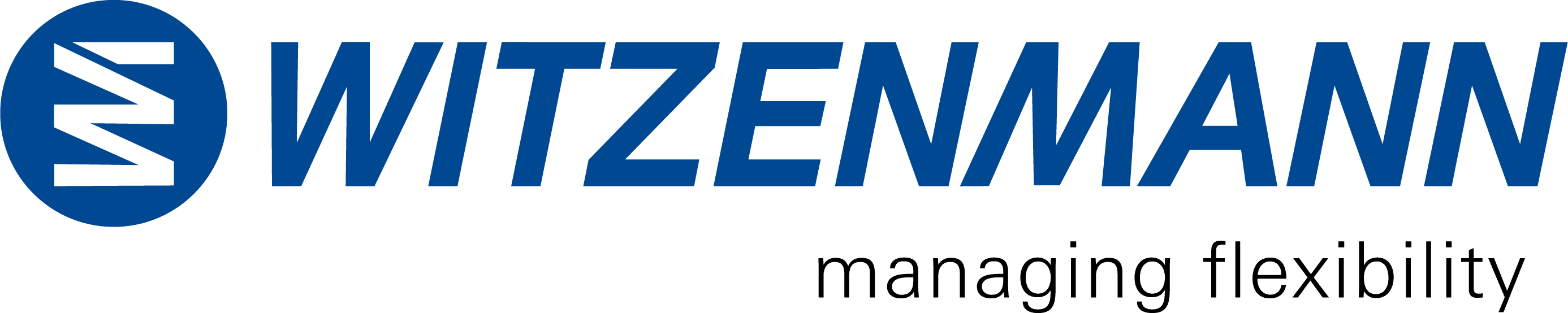 Witzenmann GmbH
