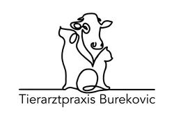 Burekovic J.