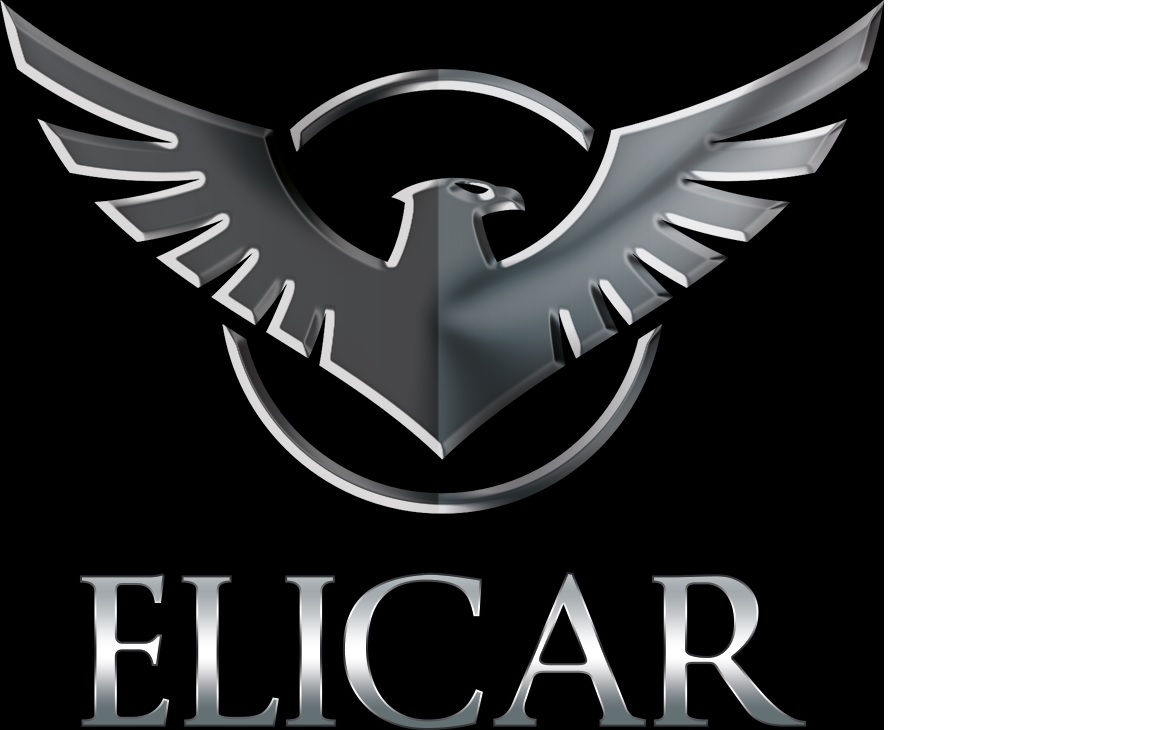 Elicar KG