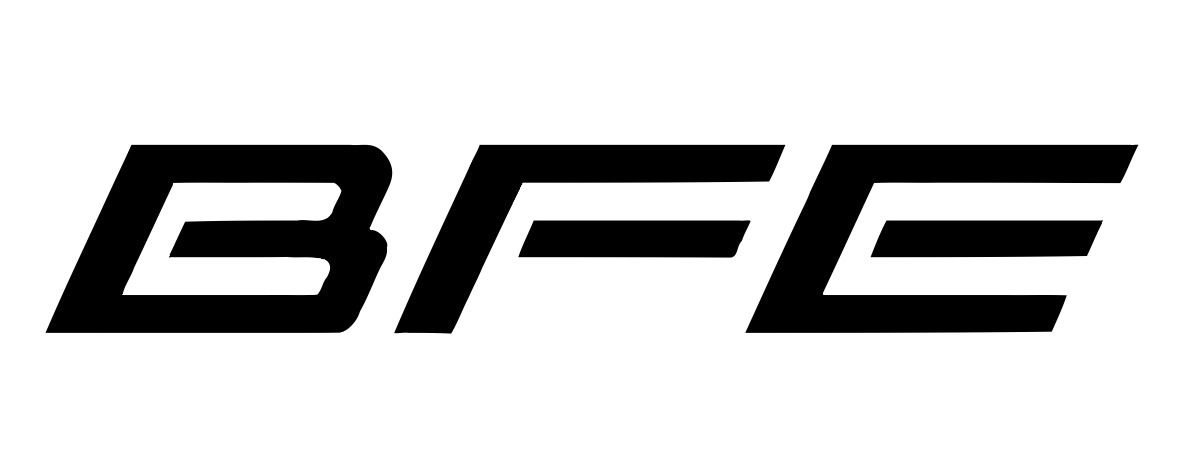 BFE Studio und Medien Systeme GmbH