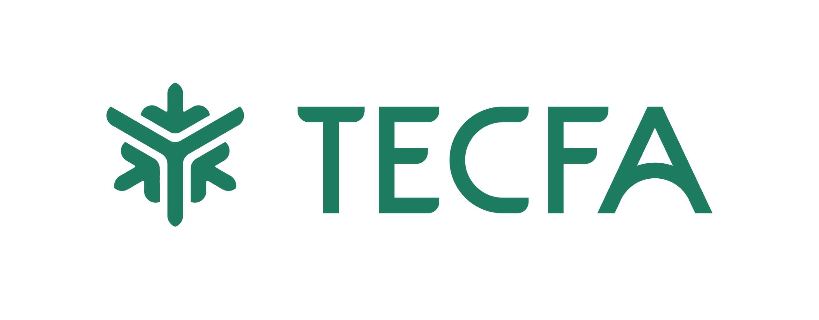 Christian Holz TECFA