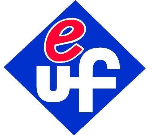 elektro-union freiberg GmbH