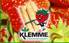 Klemme Obstplantagen