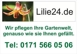 Uwe Martin Lilie24