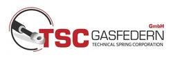 TSC Gasfedern GmbH Technical Spring Corp