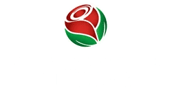 Baum & Müller GbR