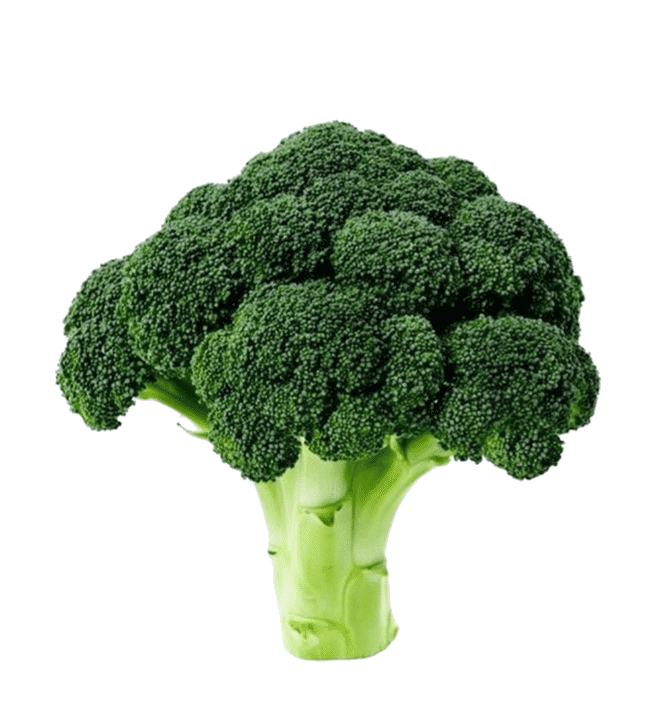 Crown Broccoli — Crisp Florets, Picked This Morning